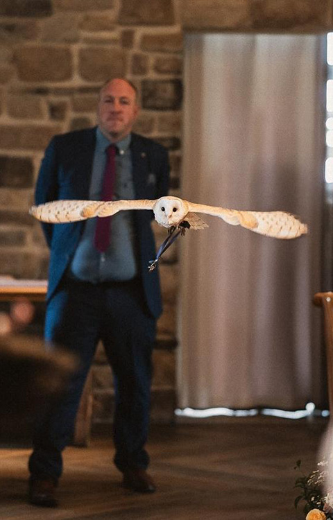 a barn owl flying in a room with a man in a suit nearby showcasing the beauty of nature and wildlife photography 4 natural wonders
