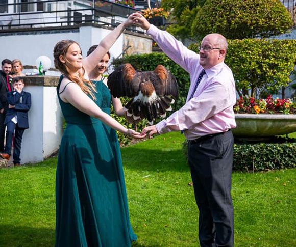 two women and a man in formal attire outdoors holding a hawk with people in the background displaying a unique experience in nature