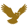 stylized silhouette of an eagle in flight symbolizing freedom and strength with two wings spread wide
