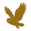 golden silhouette of a bird in flight with outstretched wings symbolizing freedom and nature connected to six different species