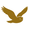 golden eagle silhouette representing strength and freedom with 16 wings symbolizing victory