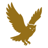 golden eagle in flight with outstretched wings representing freedom and strength in 5 key ways